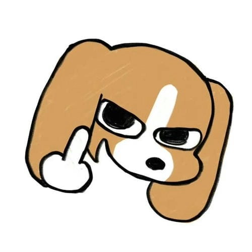 Meme Mèo Ngộ Nghĩnh