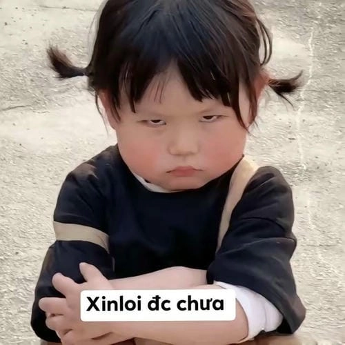Meme xin lỗi siêu cute