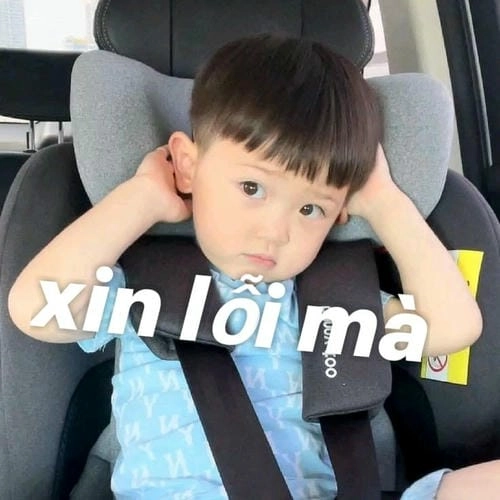 Meme xin lỗi hài