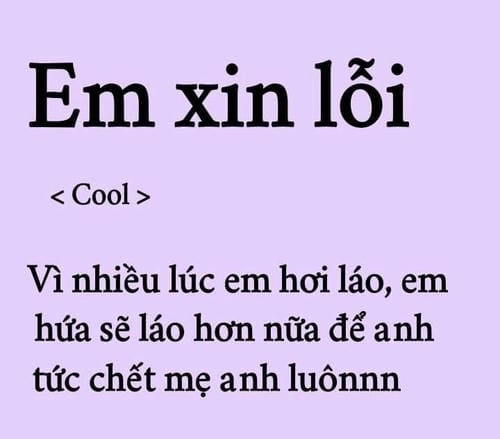ảnh meme xin lỗi