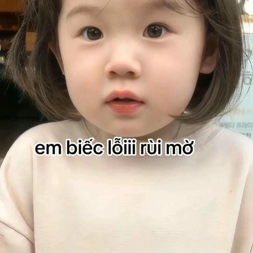 Meme xin lỗi kèm theo nụ cười