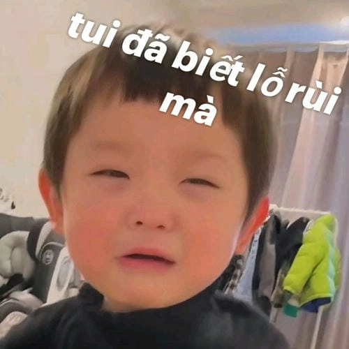 Meme xin lỗi với biểu cảm