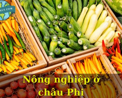 Nông nghiệp ở châu Phi – Thực trạng, tiềm năng và thách thức