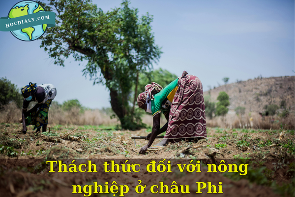 Thách thức đối với nông nghiệp ở châu Phi