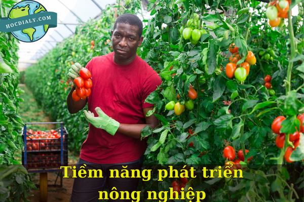 Tiềm năng phát triển nông nghiệp