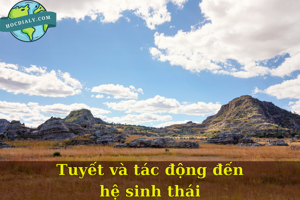 Tuyết và tác động đến hệ sinh thái