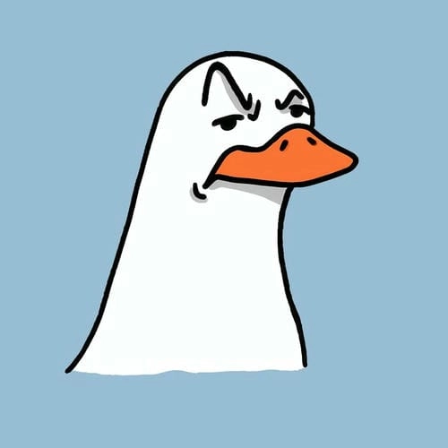 Ảnh meme con vịt dễ cưng
