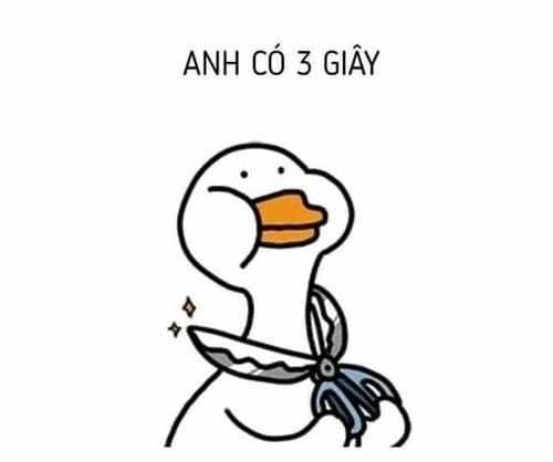 Meme về vịt đáng yêu