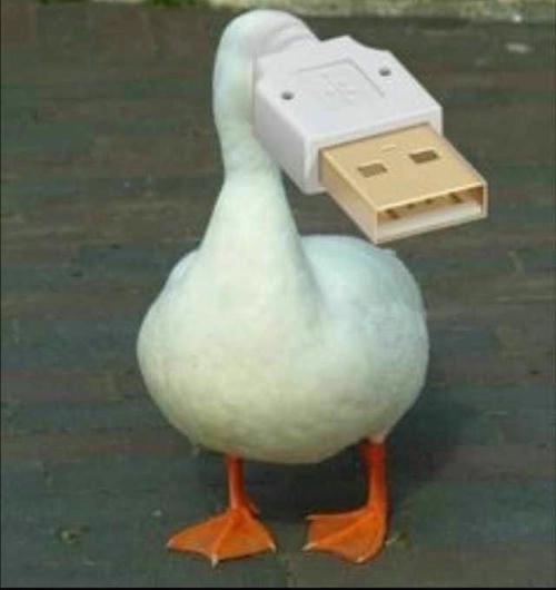 Hình ảnh meme vịt vui vẻ