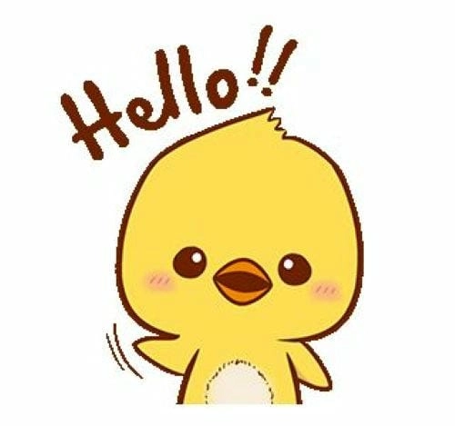 hình con vịt meme hài hước