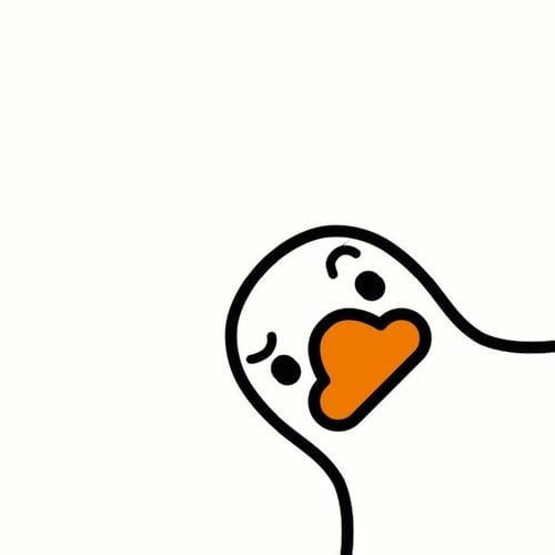 ảnh meme con vịt đáng yêu