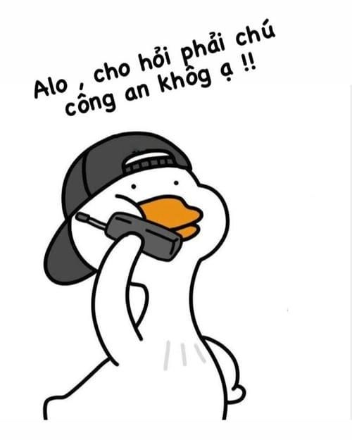 Meme vịt ngộ nghĩnh hài hước