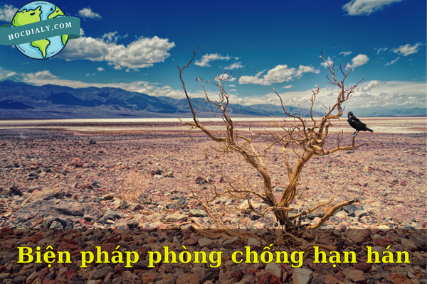 Biện pháp phòng chống hạn hán
