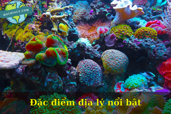Đặc điểm địa lý nổi bật