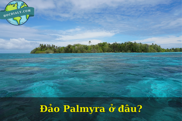 Đảo Palmyra ở đâu?