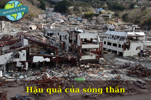 Hậu quả của sóng thần
