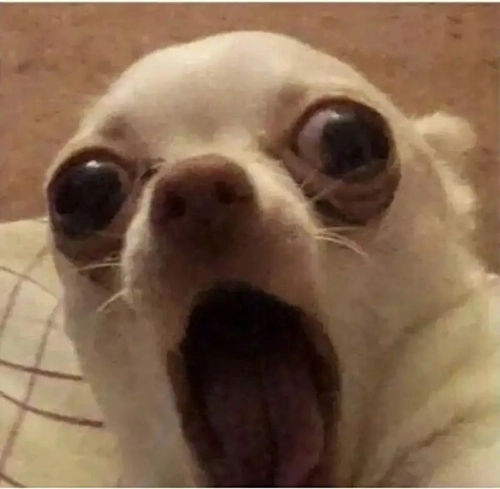 ảnh meme sốc hài hước