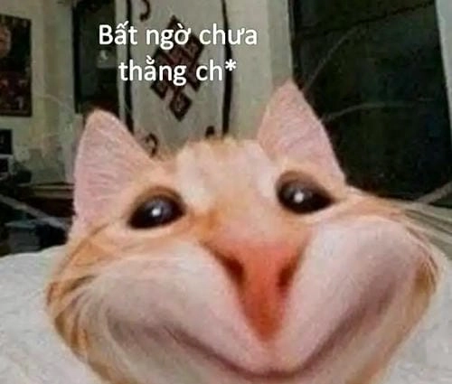 ảnh meme khuôn mặt bất ngờ