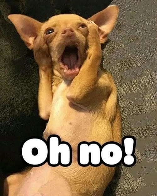 meme biểu cảm bất ngờ