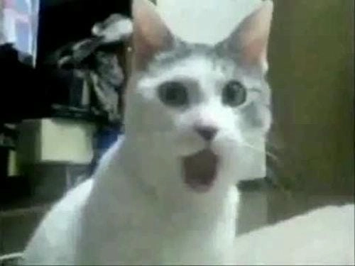 hình meme ngạc nhiên