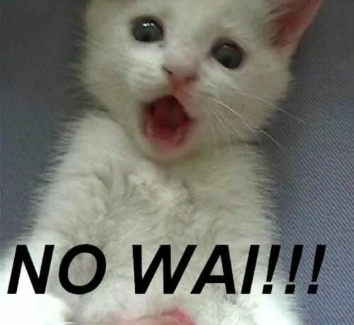 meme bất ngờ cute