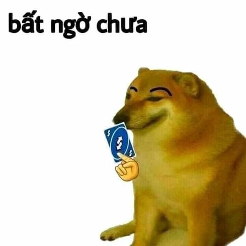 ảnh meme bất ngờ gây cười