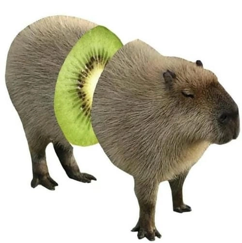 capybara meme cute siêu hot