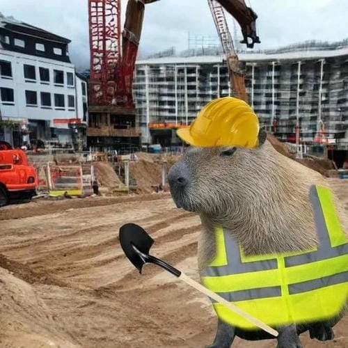 capybara meme cute hài hước động vật