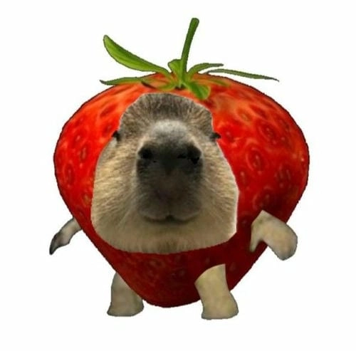 meme capybara vui vẻ giải trí