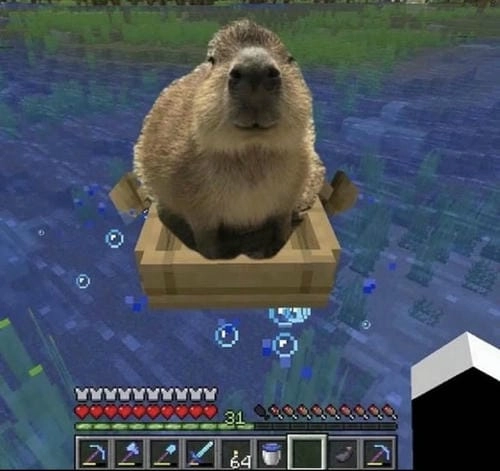 meme capybara trending