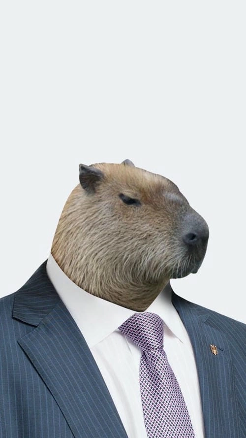 capybara meme cute hài