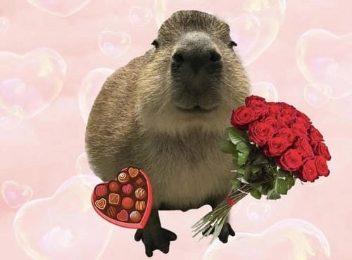 capybara meme cute mới