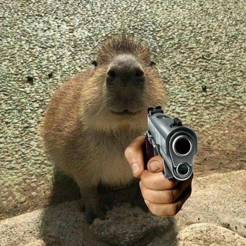 ảnh chế meme capybara