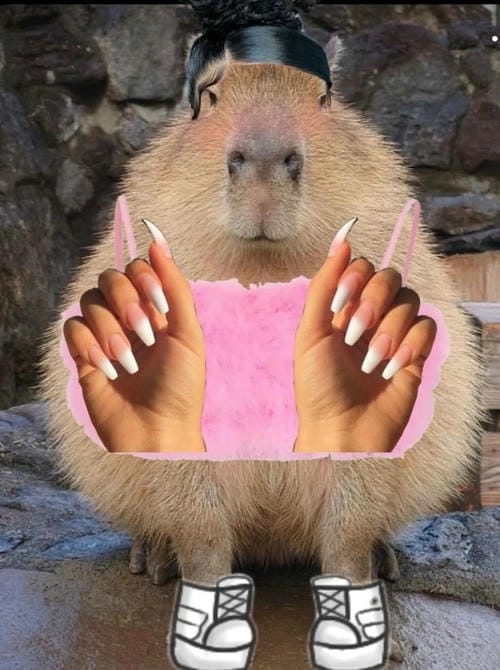 capybara meme cute vui nhộn