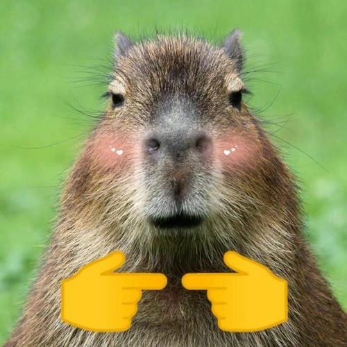 meme capybara vui vẻ