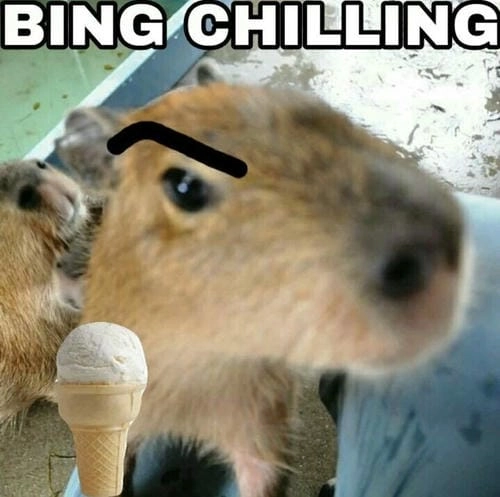 capybara meme cute nổi tiếng