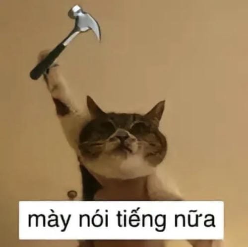 meme đấm nhau cực hài