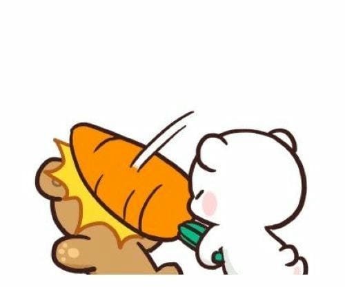 meme đấm nhau gắt