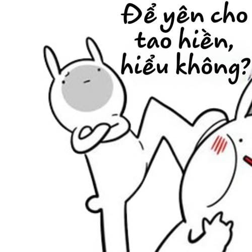 ảnh meme đánh nhau