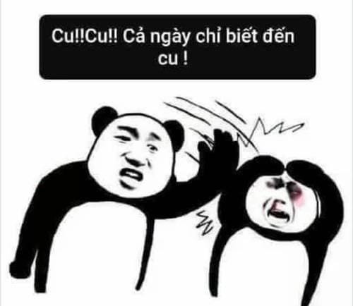 meme đánh nhau gay cấn