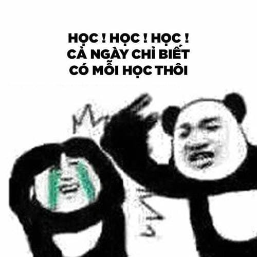 ảnh chế meme đánh nhau