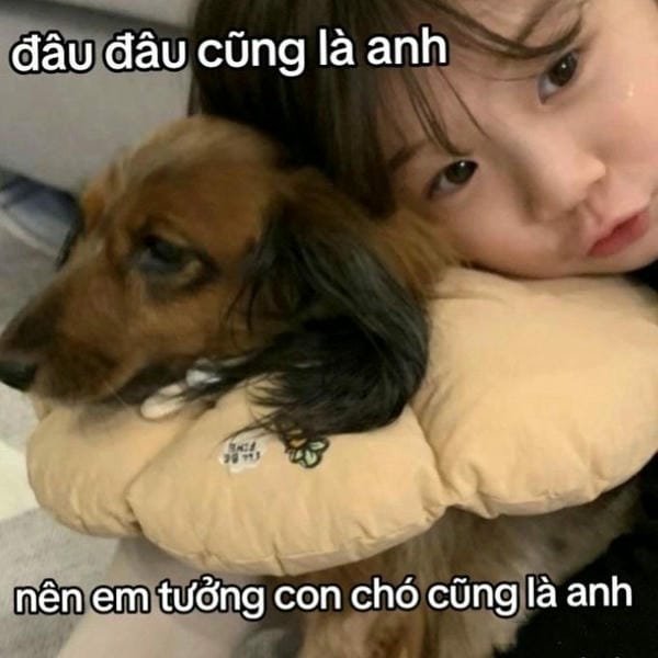 meme em bé cute