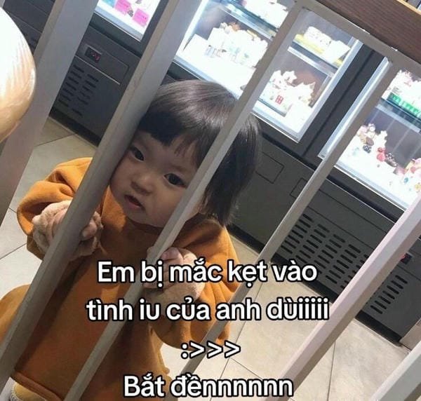 meme em bé hot trend