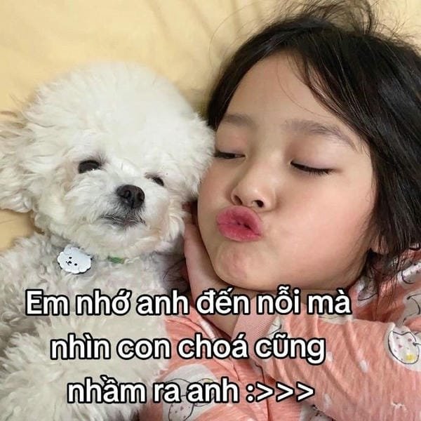 meme bé dễ thương toàn cầu