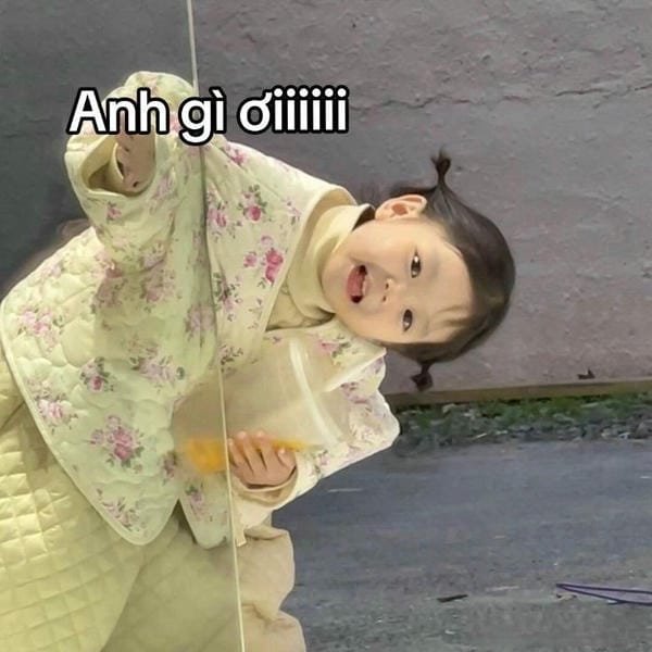 meme em bé gây bão