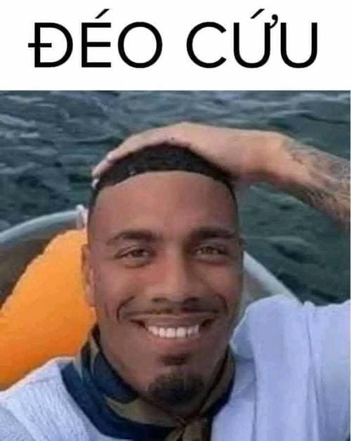 meme troll hết cứu