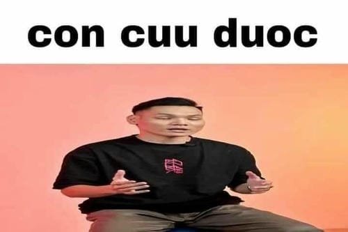 meme khó đỡ