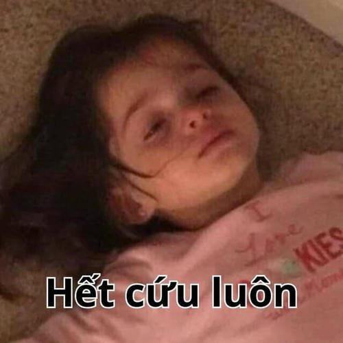 meme ngắn hài