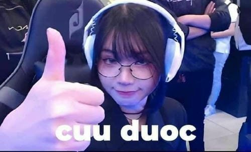 hình hết cứu meme