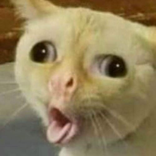 meme khinh bỉ kiểu nhẹ mà thấm